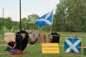 2015-06-27_Highlandgames_556  